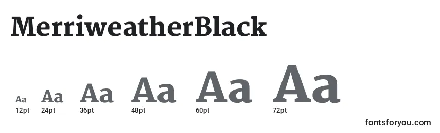 Размеры шрифта MerriweatherBlack