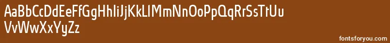 AbsolutProBookcondensed Font – White Fonts on Brown Background