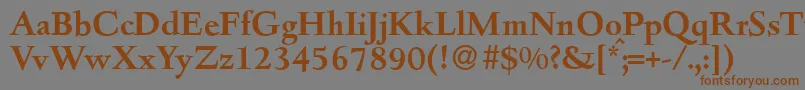 フォントD690RomanBold – 茶色の文字が灰色の背景にあります。