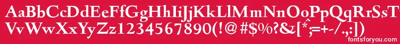 フォントD690RomanBold – 赤い背景に白い文字