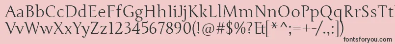 JungeRegular Font – Black Fonts on Pink Background