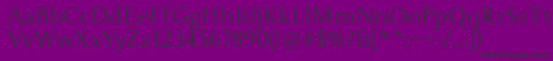 JungeRegular Font – Black Fonts on Purple Background