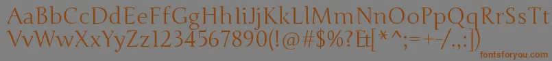 JungeRegular Font – Brown Fonts on Gray Background