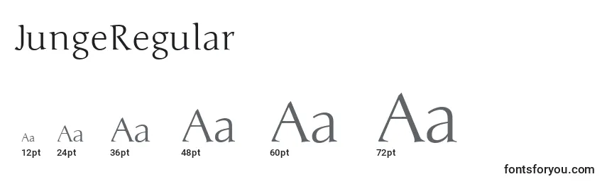 Размеры шрифта JungeRegular