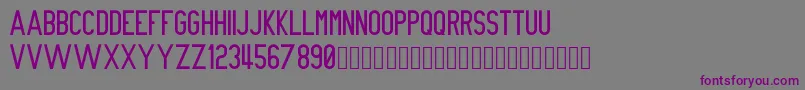 NueGothic Font – Purple Fonts on Gray Background