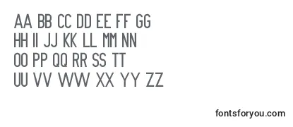 NueGothic Font