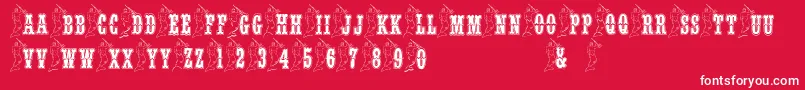 BjfMerman Font – White Fonts on Red Background
