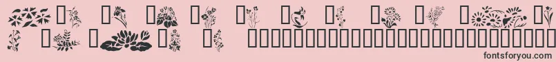 Wildflowers2 Font – Black Fonts on Pink Background