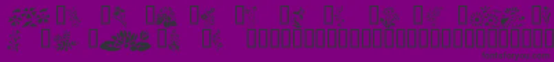 Шрифт Wildflowers2 – чёрные шрифты на фиолетовом фоне