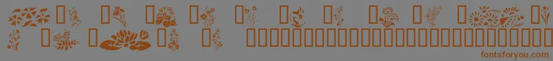 Wildflowers2 Font – Brown Fonts on Gray Background