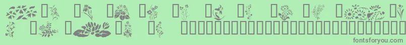 Wildflowers2 Font – Gray Fonts on Green Background