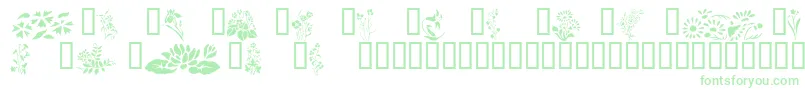Wildflowers2 Font – Green Fonts on White Background