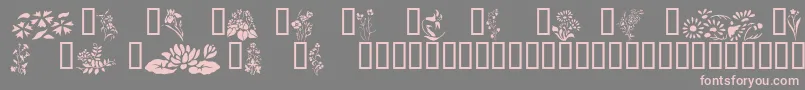 Wildflowers2 Font – Pink Fonts on Gray Background