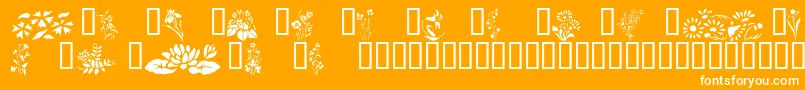 Czcionka Wildflowers2 – białe czcionki na pomarańczowym tle