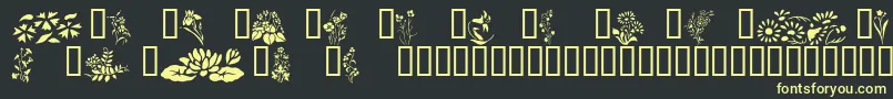 Wildflowers2 Font – Yellow Fonts on Black Background