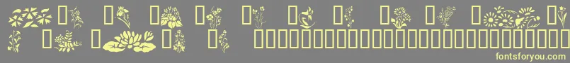 More about Wildflowers2 Font Wildflowers2 Font – Yellow Fonts on Gray Background