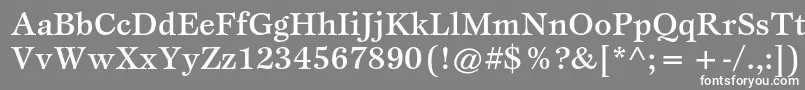 フォントEspritstdMedium – 灰色の背景に白い文字