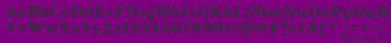 Antiqua105b Font – Black Fonts on Purple Background