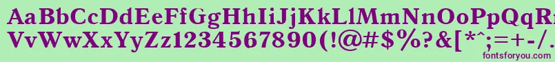 Antiqua105b Font – Purple Fonts on Green Background