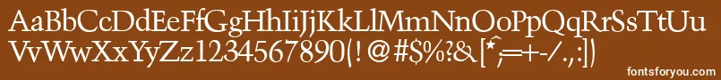 TroubadourRegular Font – White Fonts on Brown Background