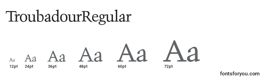 Размеры шрифта TroubadourRegular