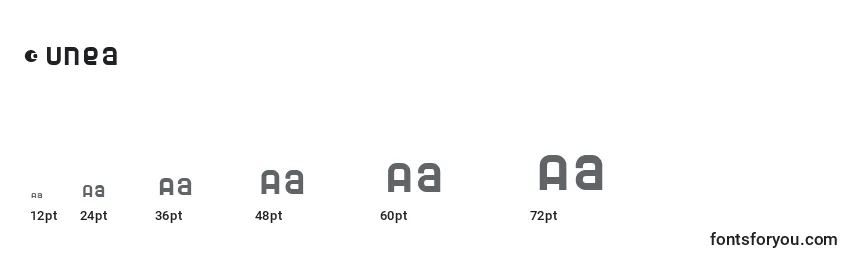 Размеры шрифта Dunea