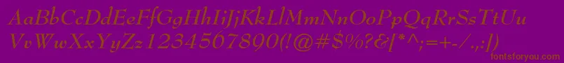 BernhardmodernstdBoldit Font – Brown Fonts on Purple Background