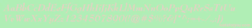 BernhardmodernstdBoldit Font – Pink Fonts on Green Background