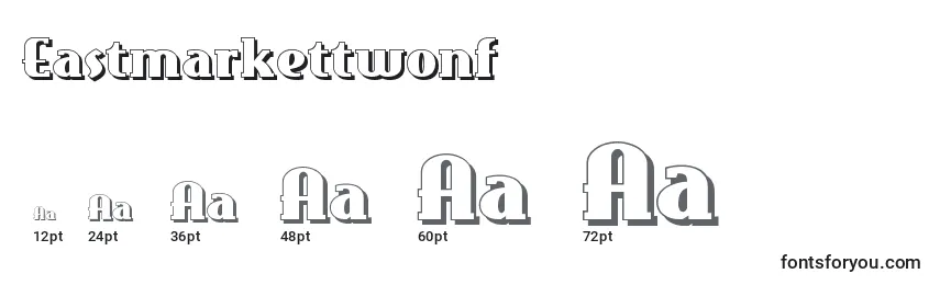 Eastmarkettwonf Font Sizes