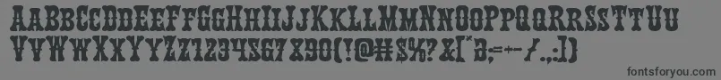 Texasrangerexpand Font – Black Fonts on Gray Background