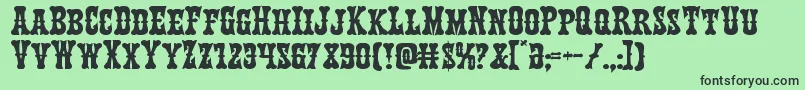 Texasrangerexpand Font – Black Fonts on Green Background