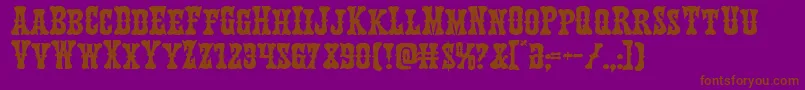 Texasrangerexpand Font – Brown Fonts on Purple Background