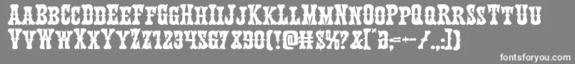 Texasrangerexpand Font – White Fonts on Gray Background