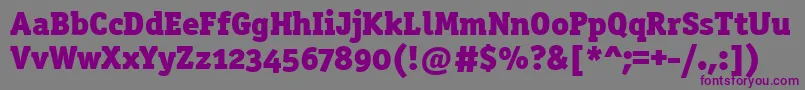 Officinaserblkositctt Font – Purple Fonts on Gray Background