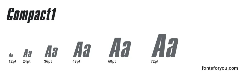 Compact1 Font Sizes