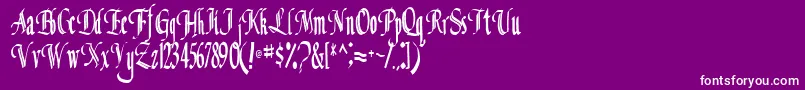 ClassicalRegular Font – White Fonts on Purple Background