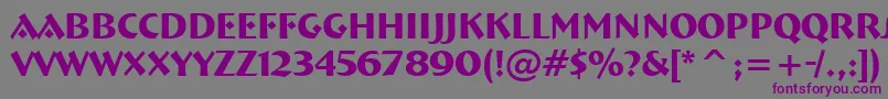 フォントFt92Bold – 紫色のフォント、灰色の背景