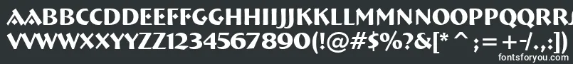 フォントFt92Bold – 黒い背景に白い文字