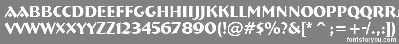 フォントFt92Bold – 灰色の背景に白い文字