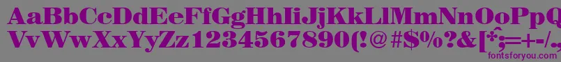 MagazineheavyRegularDb Font – Purple Fonts on Gray Background