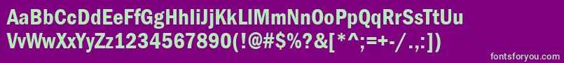 StGothicBoldCondensed Font – Green Fonts on Purple Background