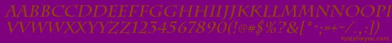 ChattsworthBoldItalic-fontti – ruskeat fontit violetilla taustalla