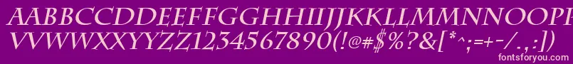 ChattsworthBoldItalic Font – Pink Fonts on Purple Background