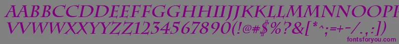 ChattsworthBoldItalic Font – Purple Fonts on Gray Background