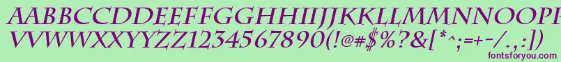 ChattsworthBoldItalic Font – Purple Fonts on Green Background