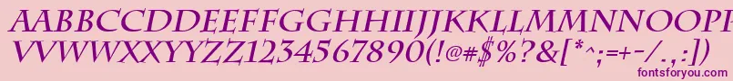 ChattsworthBoldItalic Font – Purple Fonts on Pink Background
