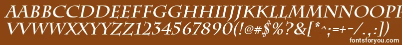 フォントChattsworthBoldItalic – 茶色の背景に白い文字