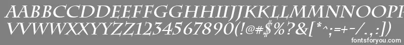 フォントChattsworthBoldItalic – 灰色の背景に白い文字