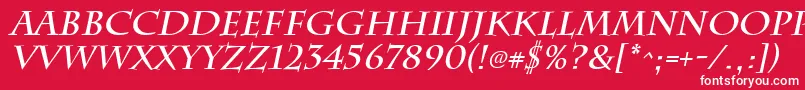 ChattsworthBoldItalic Font – White Fonts on Red Background