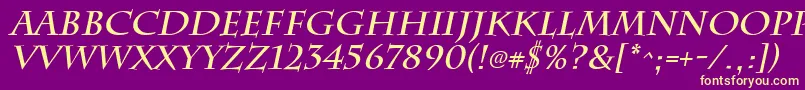 ChattsworthBoldItalic Font – Yellow Fonts on Purple Background